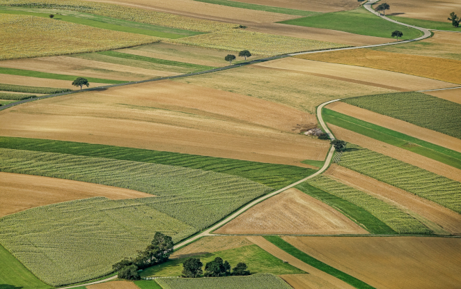 Novamont confirma la Medalla de Platino de EcoVadis en 2024
