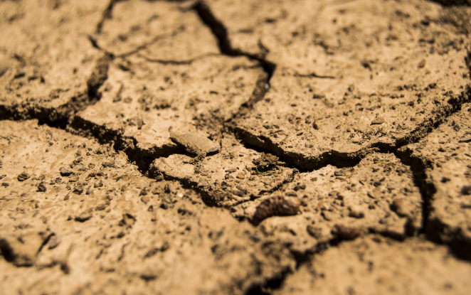 El diario El Mundo da a conocer a Novamont Iberia como pioneros en la innovación y producción de bioplásticos biodegradables y compostables.