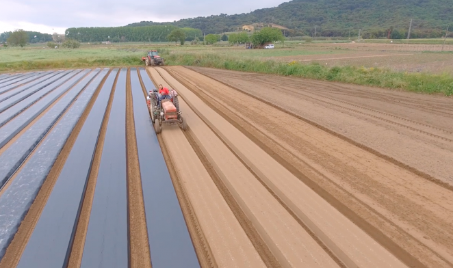 Film para acolchado en Mater-Bi: la experiencia de la finca de Cal Valls